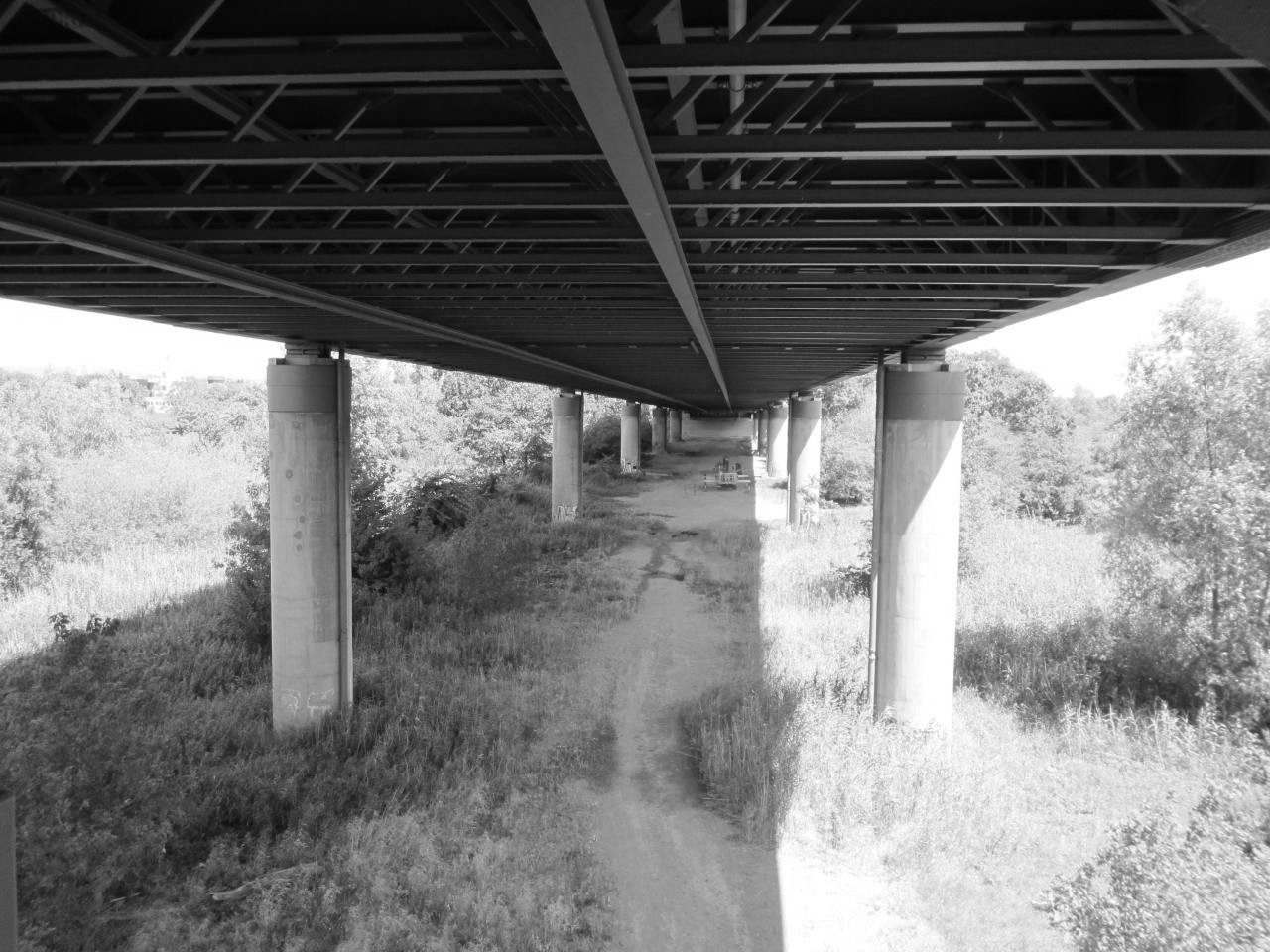 Erweiterte EP Rhein Vorlandbrücke Mainz-Weisenau i. Z. d. A 60