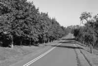Ortsverbindungsstraßen
